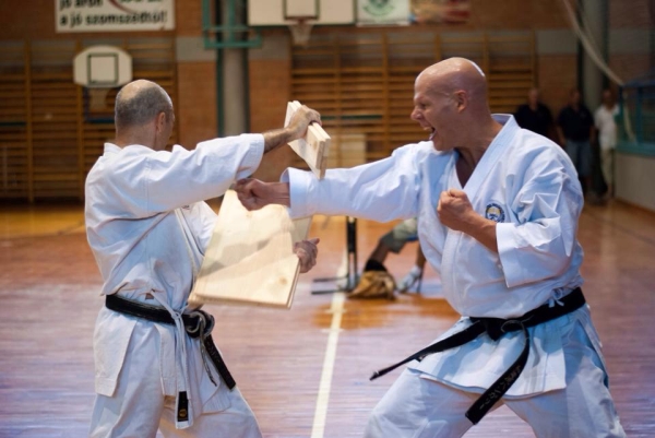 Danvizsga - P�nzes Tam�s